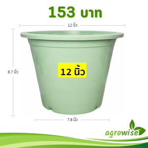 กระถาง กระถางต้นไม้ กระถางพลาสติก เบอร์ 12 นิ้ว สีเขียวพาสเทล 5 ใบ ชิ้น อัน