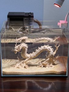 Mô Hình Rồng Thân Cây Decor Bể Cá – Tượng Rồng Trang Trí Thủy Sinh Nghệ Thuật Tạo Cảnh Quan Độc Đáo Cho Hồ Cá