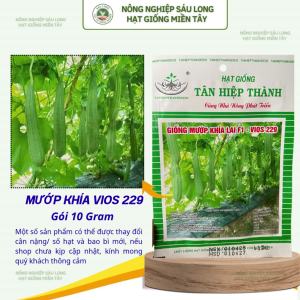 Hạt Giống Mướp Khía Lai F1 VIOS 229 Gói 10G – Cây Khỏe Trái Đẹp Sai Trái Năng Suất Tốt