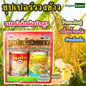 ซุปเปอร์รวงข้าว ฮอร์โมน บำรุงข้าว สะท้านทุ่ง ซุปเปอร์รวงทอง