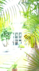 Jilbab Instan Topi Pastan Nesya Ovale By Danisha Hijab