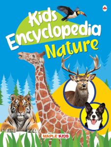 Illustrated Encyclopedia Books for Kids in English - 108 Science Facts / Human Body / My World ( Set of 10 Books) / Inventions & Discoveries / Nature  - Children Story Books