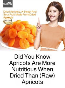 Sugarfree dried apricots are delicious and sweet Seedless dried apricots are delicious and sweet