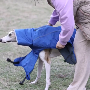 Fleece Turtleneck Dog Jackets Soft Winter Coat Cold Weather Warm Outerwear for Outdoor Walks and Travel