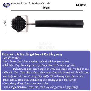 Cây lăn cầu gai diện chẩn bằng sừng trâu Chống lão hóa Quầng thâm Lưu thông máu (All Size)