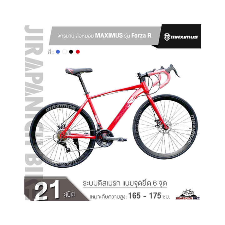 Motor Forza R Line จักรยานเสือหมอบ MAXIMUS รุ่น Forza R 21 สปีด (ชุดเกียร์Shimano, ระบบดิส ...
