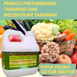 Pupuk Organik Penyubur Sayuran Pupuk Pelebat Bunga Penggembur Tanah & Pelarut Residu pupuk kimia