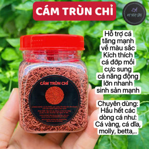 Hủ 100g Tảo Dán - Dán Thành Bể Ngắm Cá Cực Mê Tiện Dụng Hỗ Trợ Tiêu Hóa Tăng Hấp Thu Tăng Cường Sức Khỏe Cho Cá Cảnh