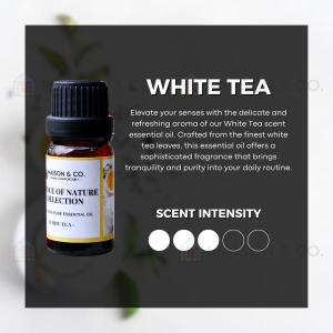 MAISON & CO. | WATERLESS HOME AROMA DIFFUSER. PURE ESSENTIAL OIL SCENT NEBULIZER. ALADDIN GLASS.