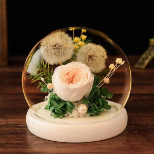 FCSeangel Dandelion immortal flower Handmade Preserved Flower Rose Lasts Forever with Warm Light Real Rose Gift for Her Women Wife Birthday Gifts Office Decoration Christmas Home Decor Anniversary Party