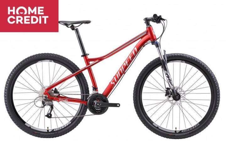 Sunpeed one on sale 2020 29er