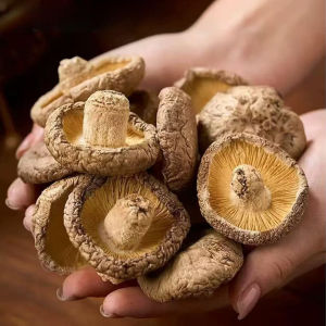 香菇 冬菇 Dried Mushroom Kulat Cendawan 高汤