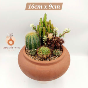 Chậu đất nung chậu sen đá - NKC 169 miệng chậu 16cm chiều cao 9cm