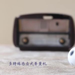 (In stock free shipping) Portable Mini Essential Oil Diffuser rechargeable waterless aroma diffuser with micro - hole automatic atomization function (only suitable for water - based essential oils)