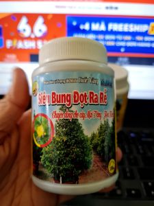 Phân bón cây mai vàng siêu bung đọt ra rễ 100ml bổ sung vi lượng cho mọi giai đoạn của cây Minh Hân Garden