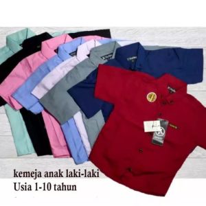 Paket Grosir Kemeja Anak Lengan Pendek Katun Multicolor Usia 1-10 Tahun
