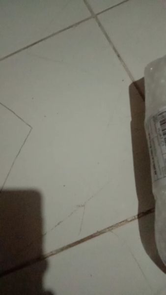 Buyer review video 6