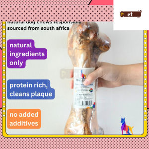Premium Ostrich Bone - hypoallergenic dog treats high value dog chew single protein