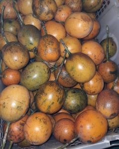 buah markisa madu Konyal 1kg manis