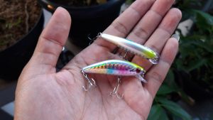 Umpan minnow lure sinking 6gr Swimbait rainbow light