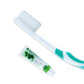 Dentiste Perfect Gum and Tooth Protection Toothbrush (Assorted Color). 
