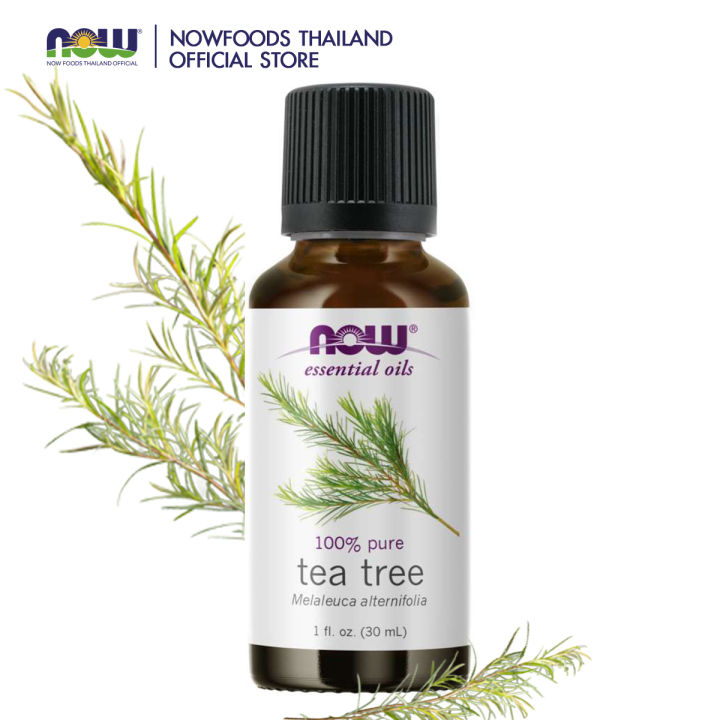 Now Essential Oils Tea Tree Oil 100% Pure 30 ml. น้ำมันหอมระเหยทีทรี