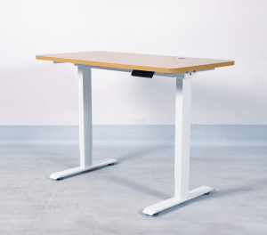 ENDESK Dual Motor 120x60 Ergonomic Sit Stand Dual Motor Desk/Height Adjustable Desk | 3 Years Local Warranty