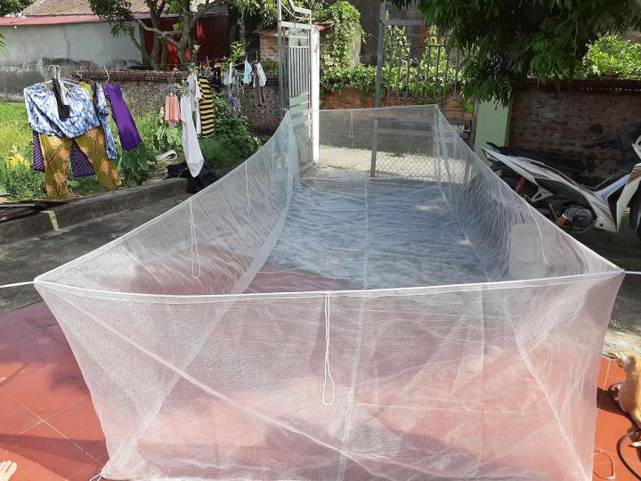 Tr%C3%A1ng%20l%C6%B0%E1%BB%9Bi%20nu%C3%B4i%20%E1%BB%91c%20nh%E1%BB%93i%203x2x1%20-%20Image%206