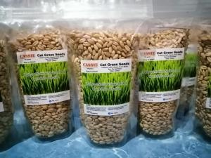 Set 200 grams Cat Grass seeds 100% Organic Non-GMO