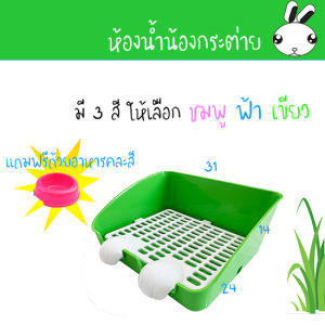 🇹🇭 ห้องน้ำกระต่ายขนาดใหญ่    ห้องน้ำกระต่าย    Rabbit Toilet