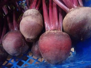 Buah Bit Root Fresh 2 kg Termurah