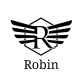 RObin 1620395004