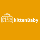 kittenBaby  Philippines
