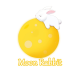 Moon Rabbit Light