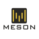 Meson2019