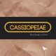 Cassiopeiae