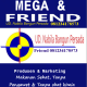UD Mega & Friend