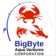 BigByte Aqua Ventures Corporation