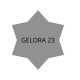 GELORA21