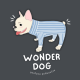 WONDER DOG