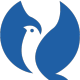 Burung Terbang2