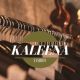 Kaleena Fashion