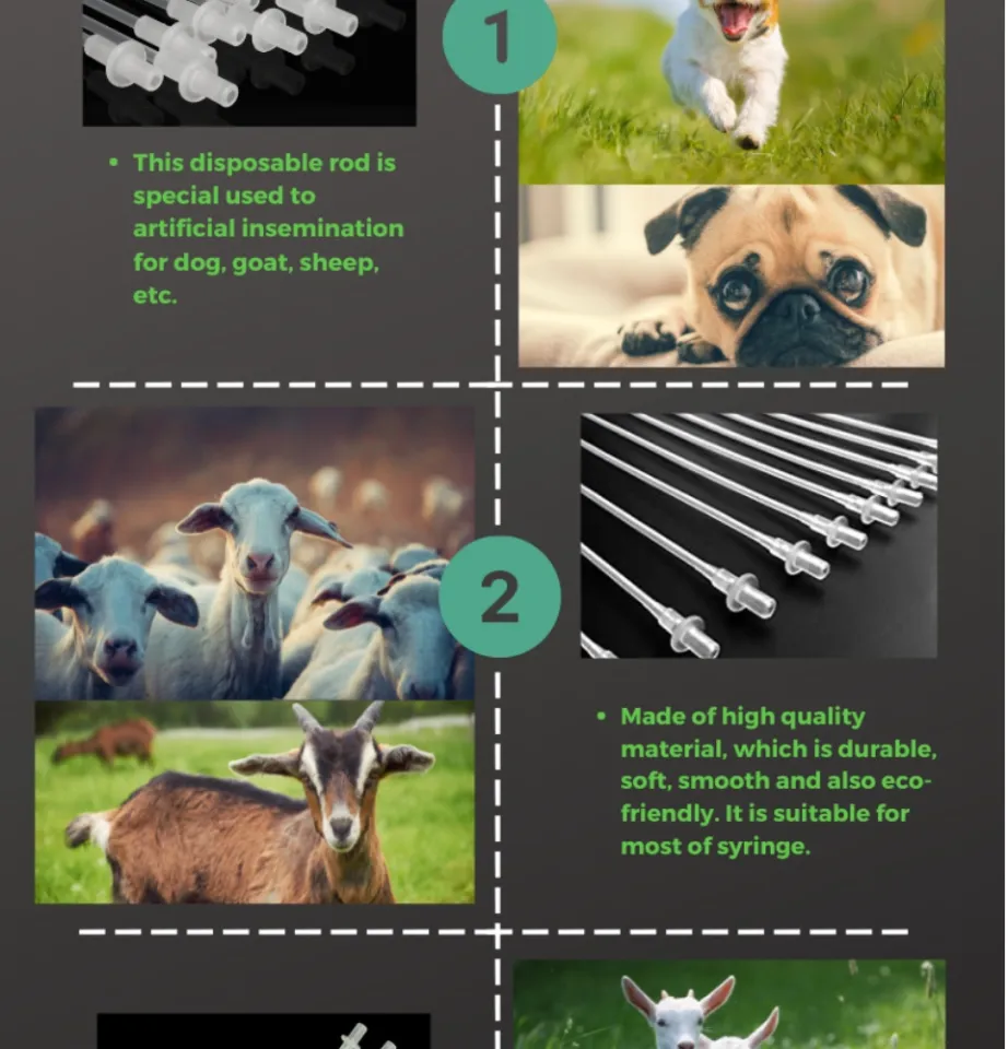 10 Pcs Disposable AI Catheter For Dog & Goat Artificial Insemination Cross  Breeding Semen Pipes tube Cross breeding | Lazada PH