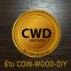 COIN-WOOD-DIY