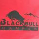BLACKBULLCAMPER