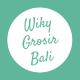 Wiky Grosir Bali