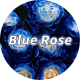 Blue Rose store