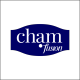 Chạm Fusion