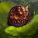 D.N.G Haven Consumer Shop