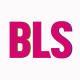 BLS Party Grosir